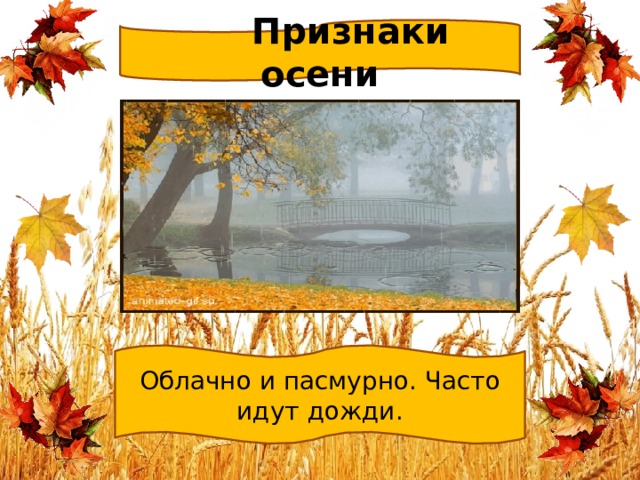 Симптомы осень 2023. Отличительные черты осени. 10 Признаков осени. Главный признак осени. Признаки осени идет дождь.