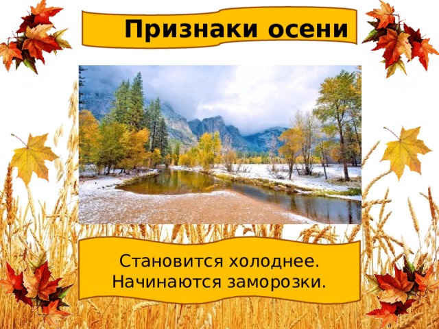 Дни становятся холоднее. Признаки осени становится холоднее. Осень становится холоднее. Осень становится холодной. Почему осенью становится холоднее.