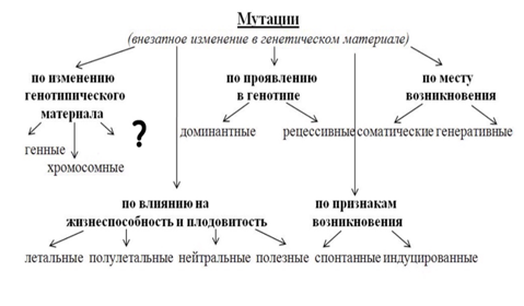 Рассмотрите предложенную схему классификации видов изменчивости