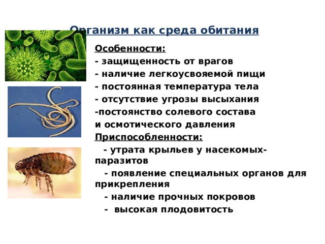 Какая среда обитания организмов паразитов