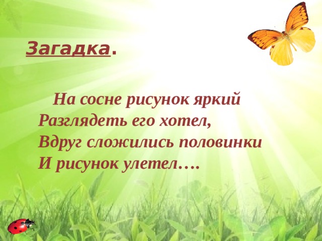 Загадка .   На сосне рисунок яркий  Разглядеть его хотел,  Вдруг сложились половинки  И рисунок улетел…. 