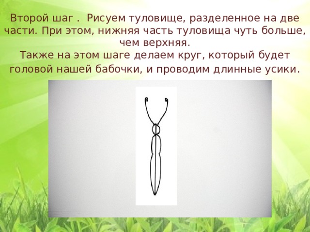   Второй шаг . Рисуем туловище, разделенное на две части. При этом, нижняя часть туловища чуть больше, чем верхняя.  Также на этом шаге делаем круг, который будет головой нашей бабочки, и проводим длинные усики . 