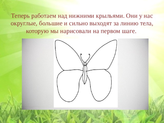    Теперь работаем над нижними крыльями. Они у нас округлые, большие и сильно выходят за линию тела, которую мы нарисовали на первом шаге.   