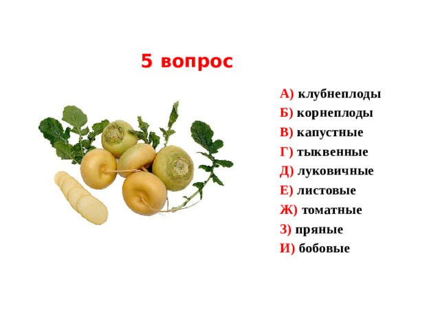 5 вопрос А) клубнеплоды Б) корнеплоды В) капустные Г) тыквенные Д) луковичные Е) листовые Ж) томатные З) пряные И) бобовые  