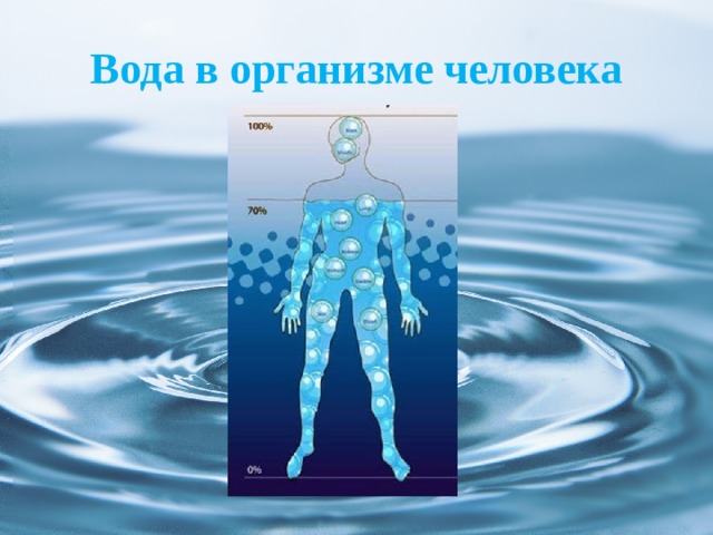 Вода в организме человека 
