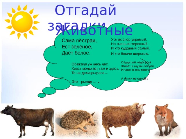 Презентация домашние животные на татарском языке