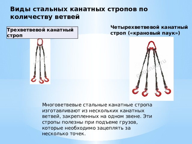 Виды стальных канатных стропов по количеству ветвей Четырехветвевой канатный строп («крановый паук») Трехветвевой канатный строп Многоветвевые стальные канатные стропа изготавливают из нескольких канатных ветвей, закрепленных на одном звене. Эти стропы полезны при подъеме грузов, которые необходимо зацеплять за несколько точек.  