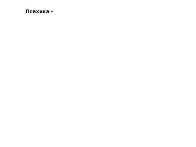 Психика - Человеческая психика - 