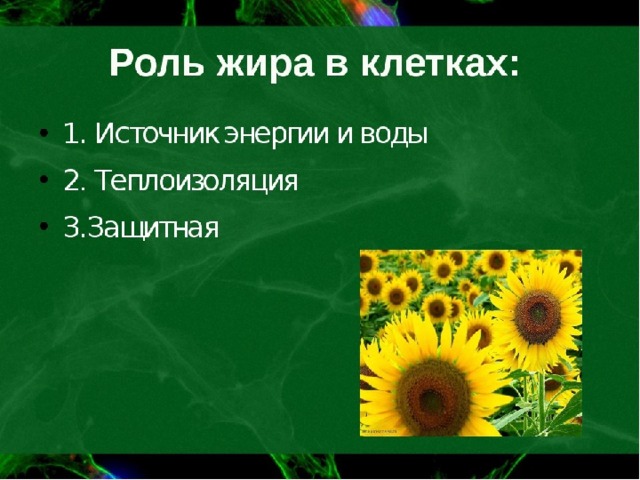 Биология 5 класс роль биологии. Жиры роль в клетке. Роль жиров в клетке. Роль жиров в клетке растений. Роль жиров в растительной клетке.