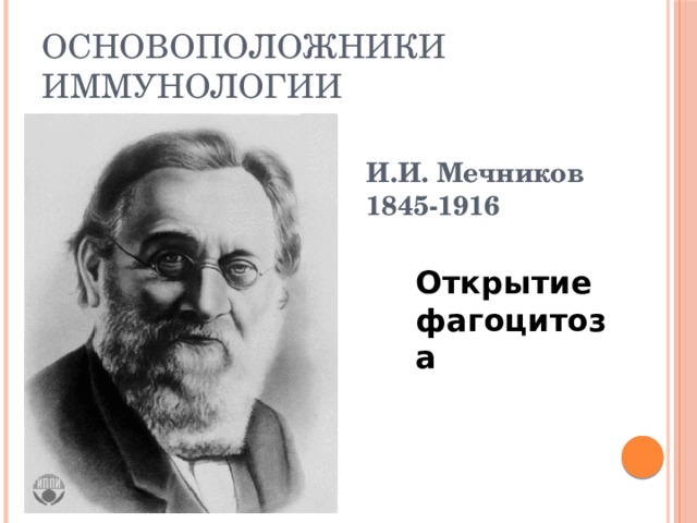 Фагоцитоз открыл и и мечников