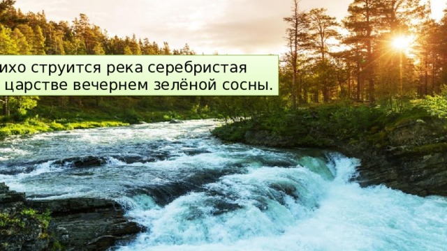 Тихо струится река серебристая В царстве вечернем зелёной сосны. 