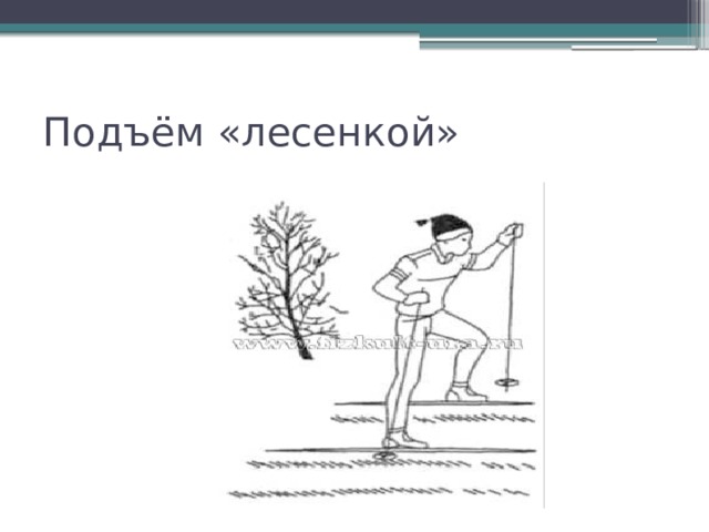 Слабость при подъеме по лестнице. Подъем лесенкой. Подъем по лесенке в ледокол. Стихотворение подъем по лесенке.