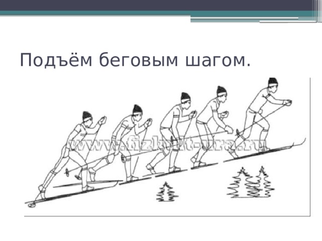 Подъем скользящим шагом на лыжах. Подъем ступающим шагом на лыжах. Подъем скользящим шагом.