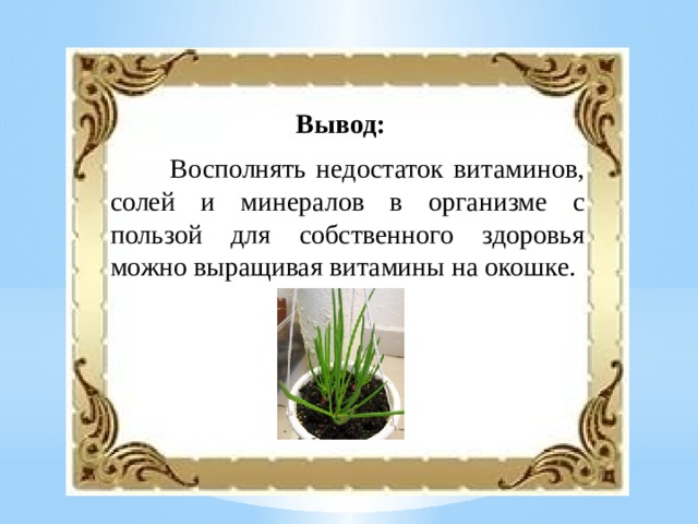 Вывод:  Восполнять недостаток витаминов, солей и минералов в организме с пользой для собственного здоровья можно выращивая витамины на окошке. 