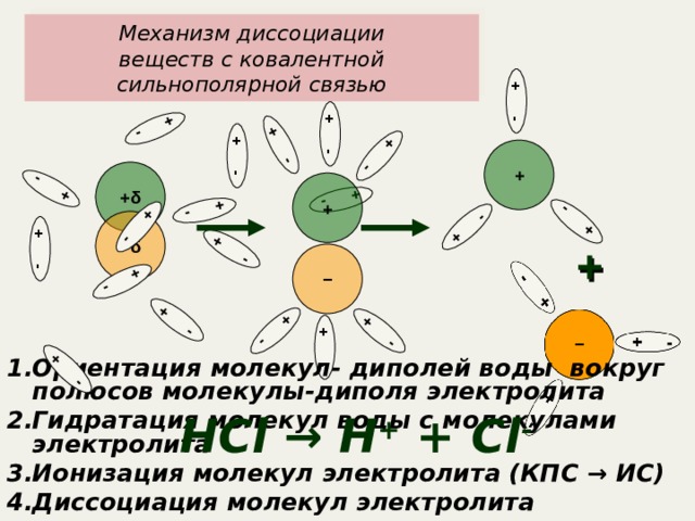 + - + - + - + - + - + - + - + - + - + - + - + - + - + - + - + - + - + - + - + - Механизм диссоциации  веществ с ковалентной сильнополярной связью + + δ + − δ  +  − Ориентация молекул- диполей воды вокруг полюсов молекулы-диполя электролита Гидратация молекул воды с молекулами электролита Ионизация молекул электролита (КПС → ИС) Диссоциация молекул электролита HCl → H + + Cl - 