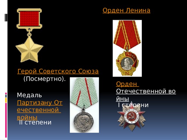 Орден Ленина Герой Советского Союза  (Посмертно). Медаль Партизану Отечественной войны II степени Орден Отечественной войны I степени 