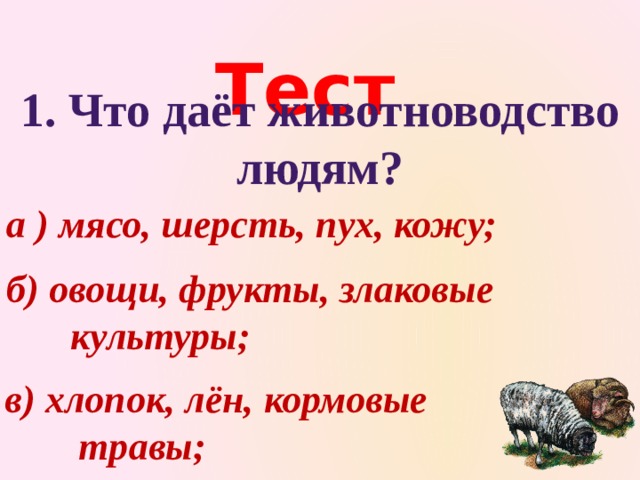 Тест 1. Что даёт животноводство людям? а ) мясо, шерсть, пух, кожу; б) овощи, фрукты, злаковые    культуры; в) хлопок, лён, кормовые    травы; 