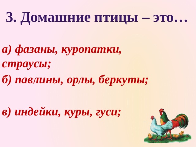  3. Домашние птицы – это… а) фазаны, куропатки,     страусы; б) павлины, орлы, беркуты; в) индейки, куры, гуси; 