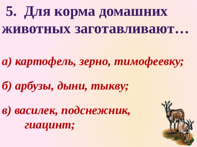  5. Для корма домашних животных заготавливают… а) картофель, зерно, тимофеевку; б) арбузы, дыни, тыкву; в) василек, подснежник,    гиацинт; 