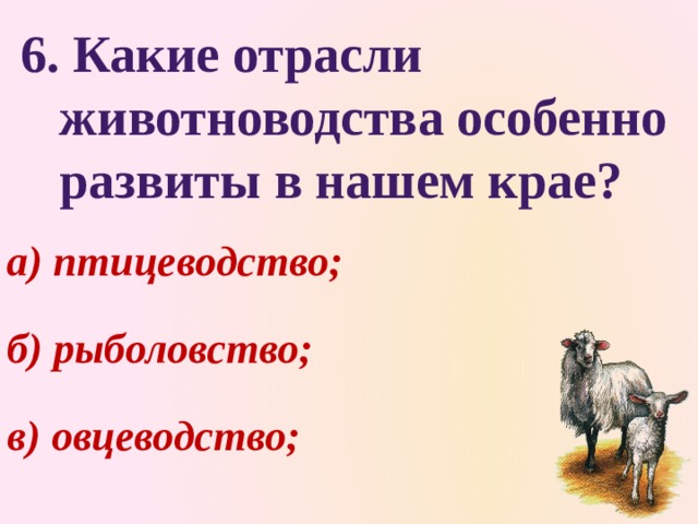  6. Какие отрасли  животноводства особенно  развиты в нашем крае? а) птицеводство; б) рыболовство; в) овцеводство; 