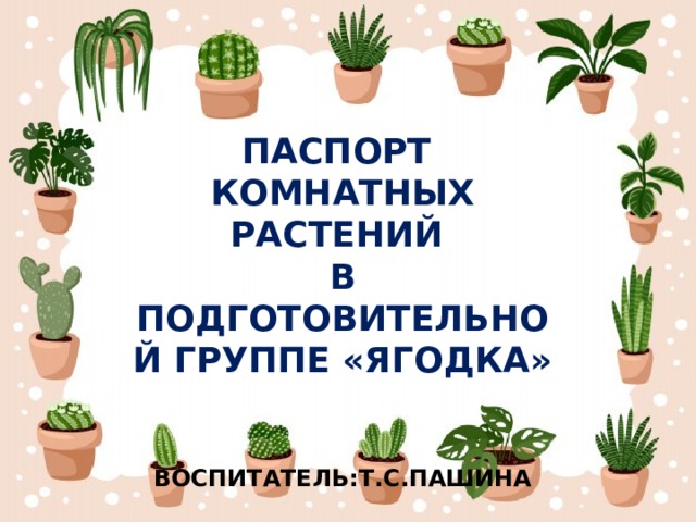 Комнатные растения в подготовительной группе презентация