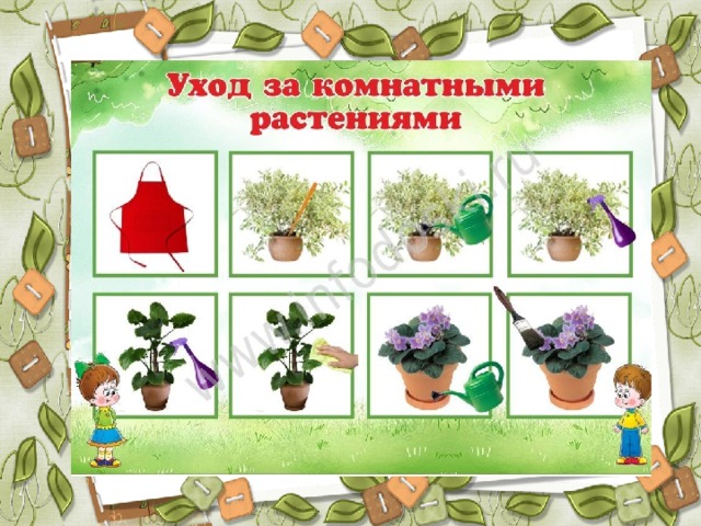 Проект черенкование комнатных растений 6 класс