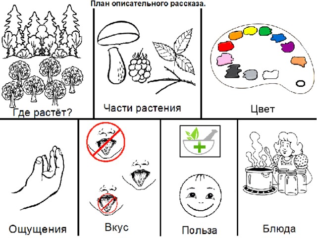 Схема для составления дошкольниками описательных и сравнительных рассказов