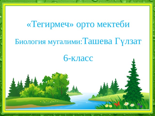 «Тегирмеч» орто мектеби  Биология мугалими: Ташева Гүлзат  6-класс 