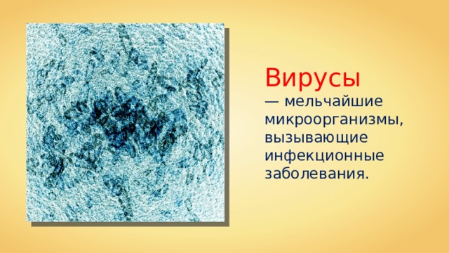 Вирусы  — мельчайшие микроорганизмы, вызывающие инфекционные заболевания. 