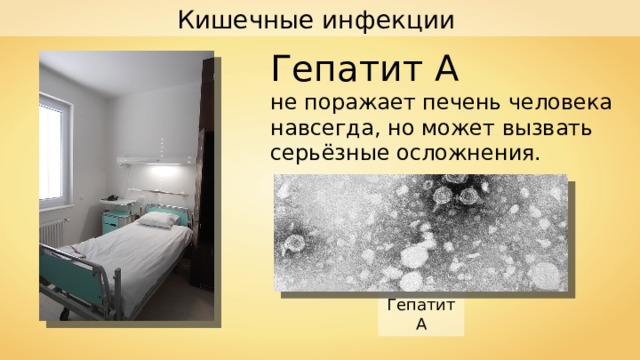 Кишечные инфекции Гепатит А не поражает печень человека навсегда, но может вызвать серьёзные осложнения. Гепатит А 