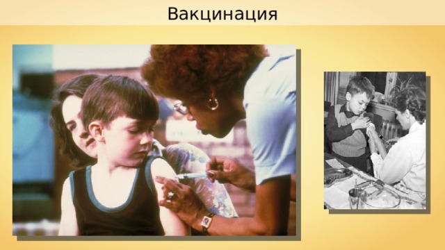 Вакцинация 