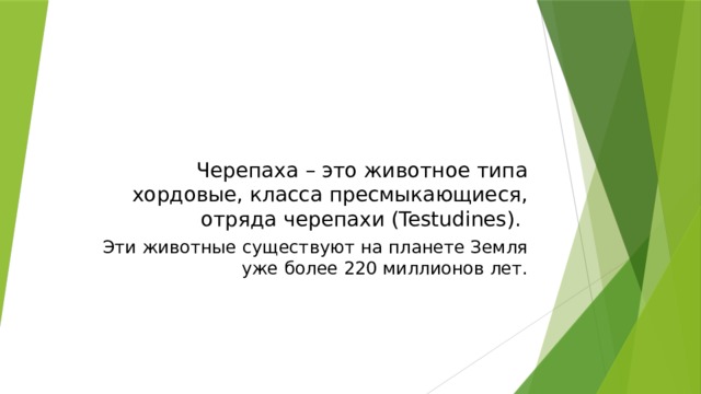 Черепаха – это животное типа хордовые, класса пресмыкающиеся, отряда черепахи (Testudines). Эти животные существуют на планете Земля уже более 220 миллионов лет. 