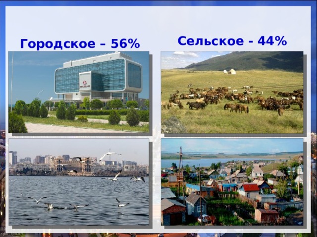 Соотношение городского и сельского населения Сельское - 44% Городское – 56% 