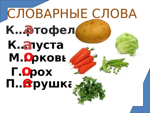 СЛОВАРНЫЕ СЛОВА К…ртофель а К…пуста  а М…рковь о Г…рох о П…трушка а е 