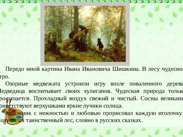 Утро в сосновом лесу