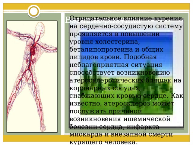 Влияние физической нагрузки на сердечно сосудистую систему презентация