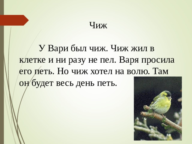 Чиж  У Вари был чиж. Чиж жил в клетке и ни разу не пел. Варя просила его петь. Но чиж хотел на волю. Там он будет весь день петь. 