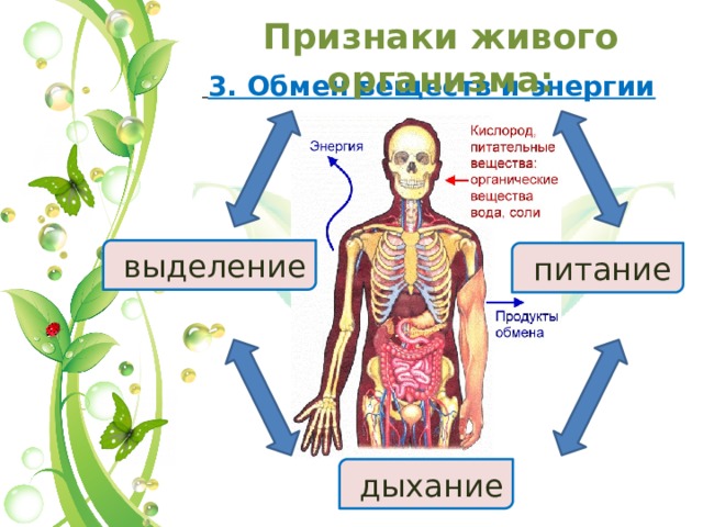 Признаки живого организма:   3. Обмен веществ и энергии  выделение  питание  дыхание 11 