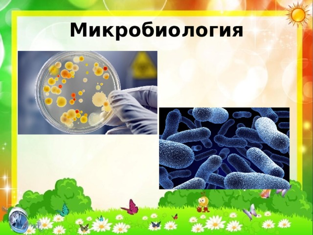 Микробиология 