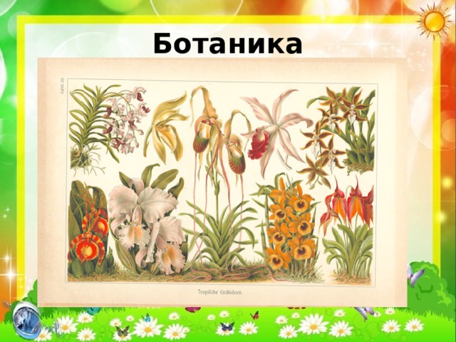 Ботаника 