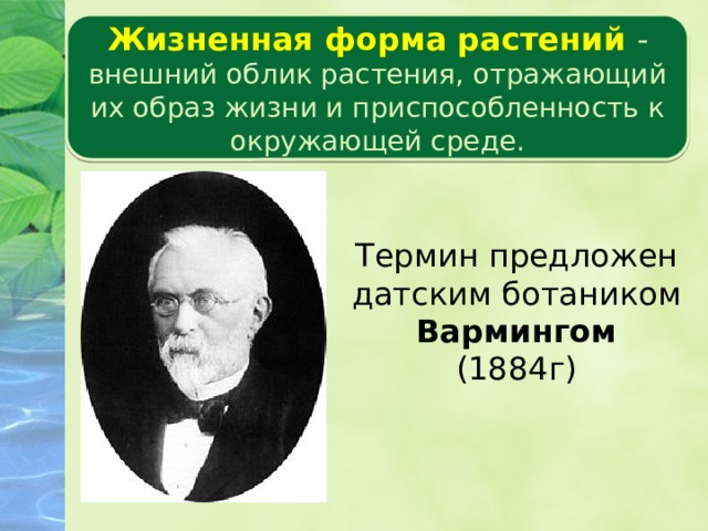 Жизненная форма растений - внешний облик растения, отражающий их образ жизни и приспособленность к окружающей среде. Царство растений Термин предложен датским ботаником Вармингом (1884г)  