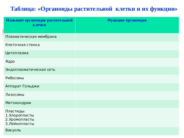 Таблица клетки