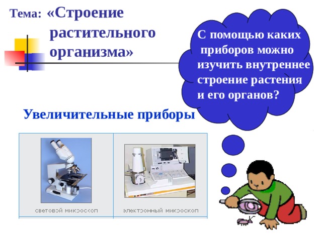 Тема:  «Строение  растительного  организма» С помощью каких  приборов можно изучить внутреннее строение растения и его органов? Увеличительные приборы 