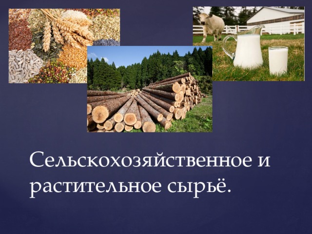 Технология класс презентация. Растительное сырье. Сырье для сельского хозяйства. Сельскохозяйственное и растительное сырье. Растения сырье для промышленности.