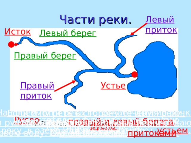 Части реки. Левый приток Исток Левый берег Правый берег Устье Правый приток На своём пути река встречает другие речки и ручейки, которые впадают в неё и отдают  свою воду. Они называются притоками . Если смотреть в сторону течения реки, то справа будет правый берег, а слева – левый. То место, где река впадает в другую реку, в озеро или море, называют устьем . Русло –это углубление, по которому течёт река. У реки есть правый и левый берега. Как их определить? Как называют начало реки? Что такое устье реки? Что такое русло реки? 