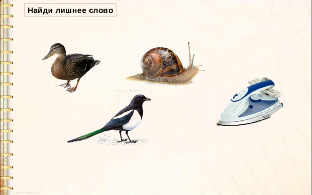 Найди лишнее слово 