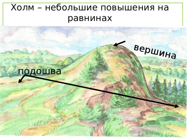 Какой вид равнины показан на рисунке цифрой. Холмы и овраги. Холм и его части рисунок.