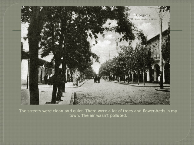 The streets were clean and quiet. There were a lot of trees and flower-beds in my town. The air wasn’t polluted. 