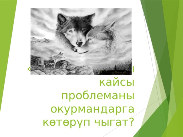 «Кыямат» романы кайсы проблеманы окурмандарга к ɵтɵрүп чыгат? 