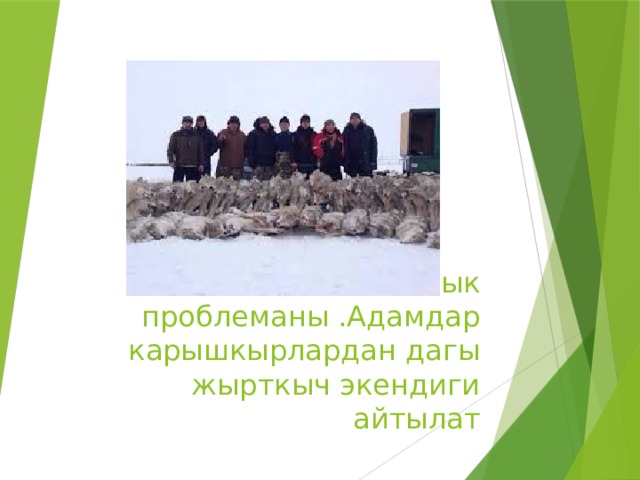 Экологиялык проблеманы .Адамдар карышкырлардан дагы жырткыч экендиги айтылат 